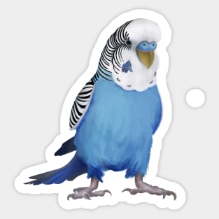 Australian Budgie/Blue/Parakeet/Budgerigar/Bird Sticker